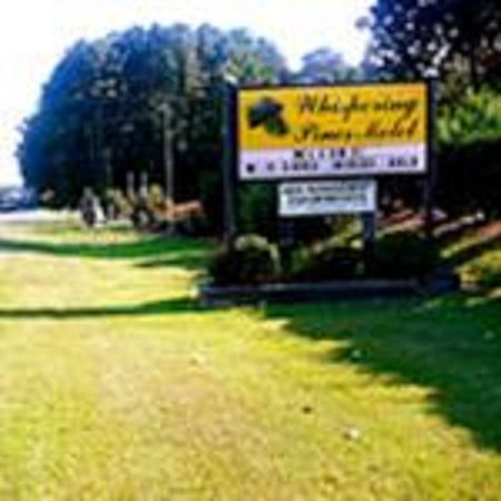 White Stone The Whispering Pines Motel- Whitestone المظهر الخارجي الصورة
