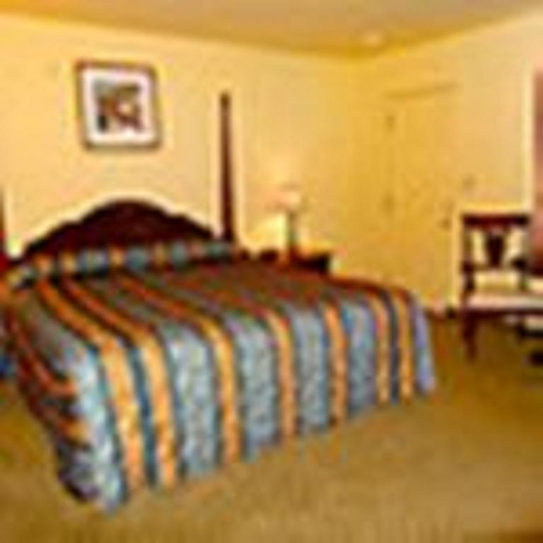 White Stone The Whispering Pines Motel- Whitestone المظهر الخارجي الصورة