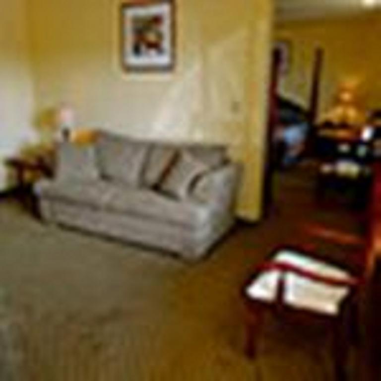 White Stone The Whispering Pines Motel- Whitestone المظهر الخارجي الصورة