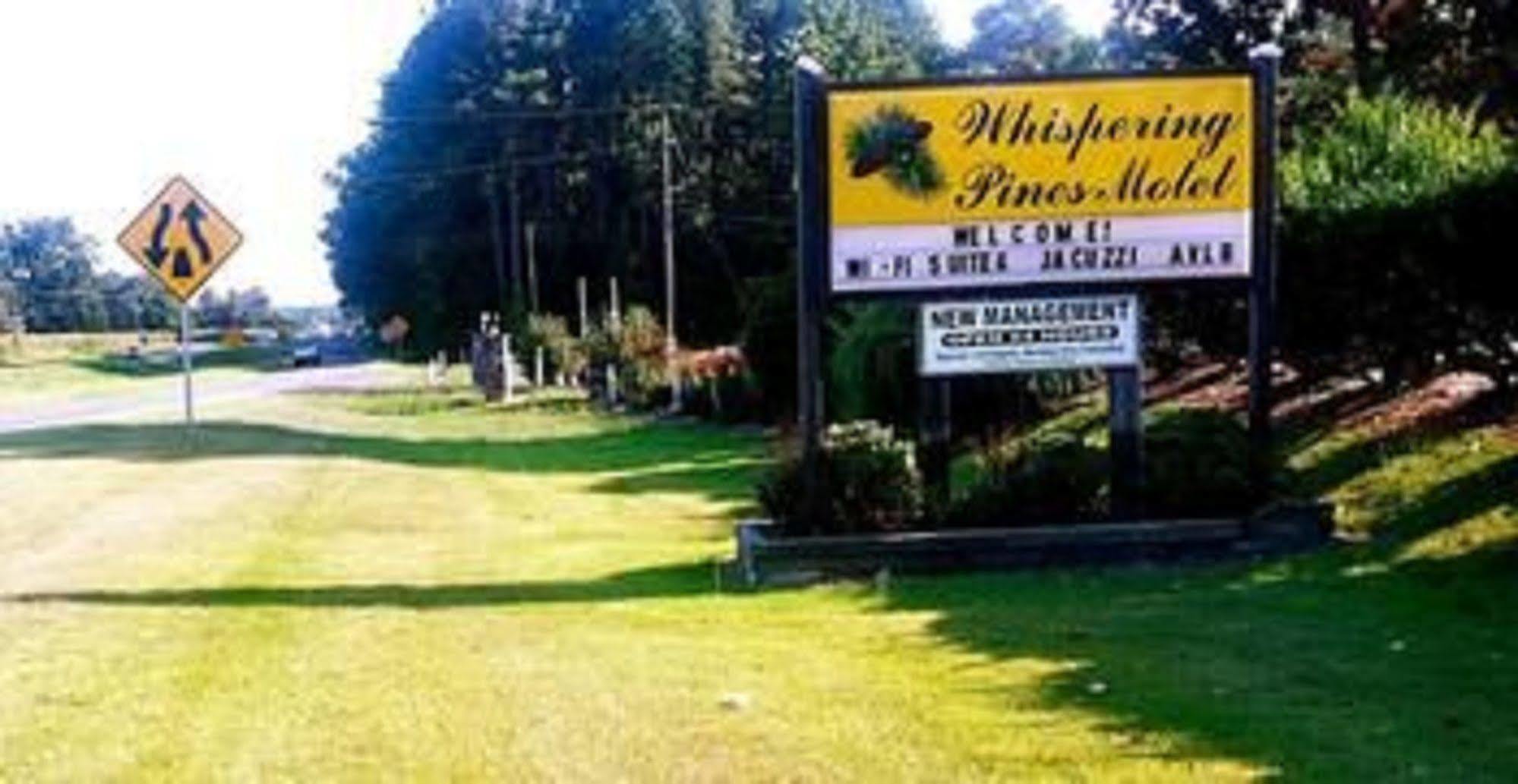 White Stone The Whispering Pines Motel- Whitestone المظهر الخارجي الصورة